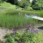 Belvedere & Chalet: Edersee Retreat With Gästecard