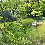 Apartment Belvedere & Chalet: Edersee Retreat With Gästecard Waldeck (Hessen)