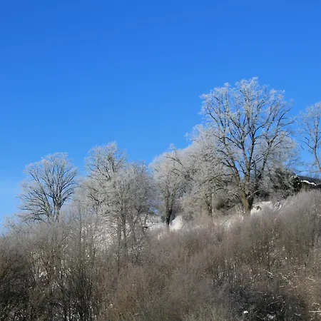 Apartment Belvedere & Chalet: Edersee Retreat With Gästecard