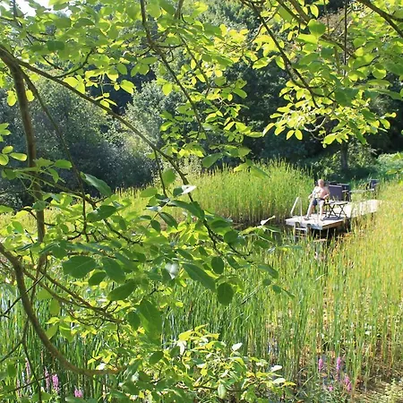 公寓 Belvedere & - Ihr Zuhause Auf Zeit Am Edersee - Ihr Geschenk Gaestecard Grimmheimat 瓦尔德克