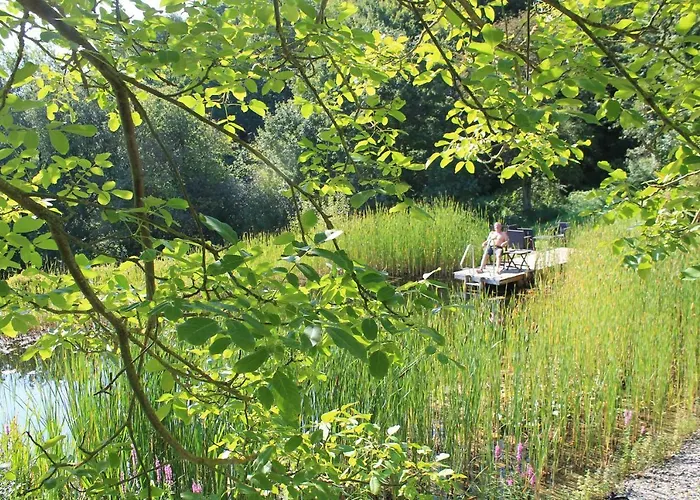 Apartment Belvedere & Chalet: Edersee Retreat With Gästecard Waldeck (Hessen)